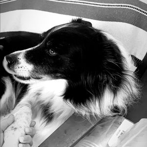 Meet your Posher, Hermione